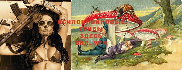 ГАЛЛЮЦИНОГЕННЫЕ ГРИБЫ Волосово