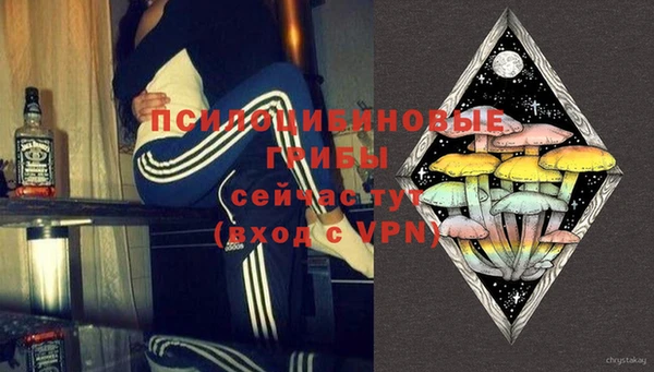 ГАЛЛЮЦИНОГЕННЫЕ ГРИБЫ Волосово