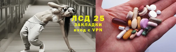 ГАЛЛЮЦИНОГЕННЫЕ ГРИБЫ Волосово