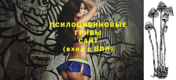 ГАЛЛЮЦИНОГЕННЫЕ ГРИБЫ Волосово